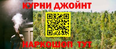 гашик Нальчик
