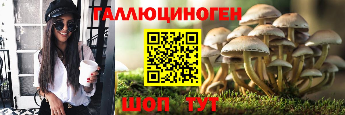 Псилоцибиновые грибы мухоморы Тверь